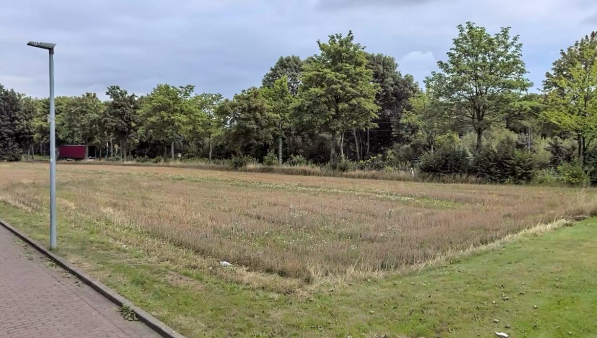 Leeres Feld am Ende der Tillestraße